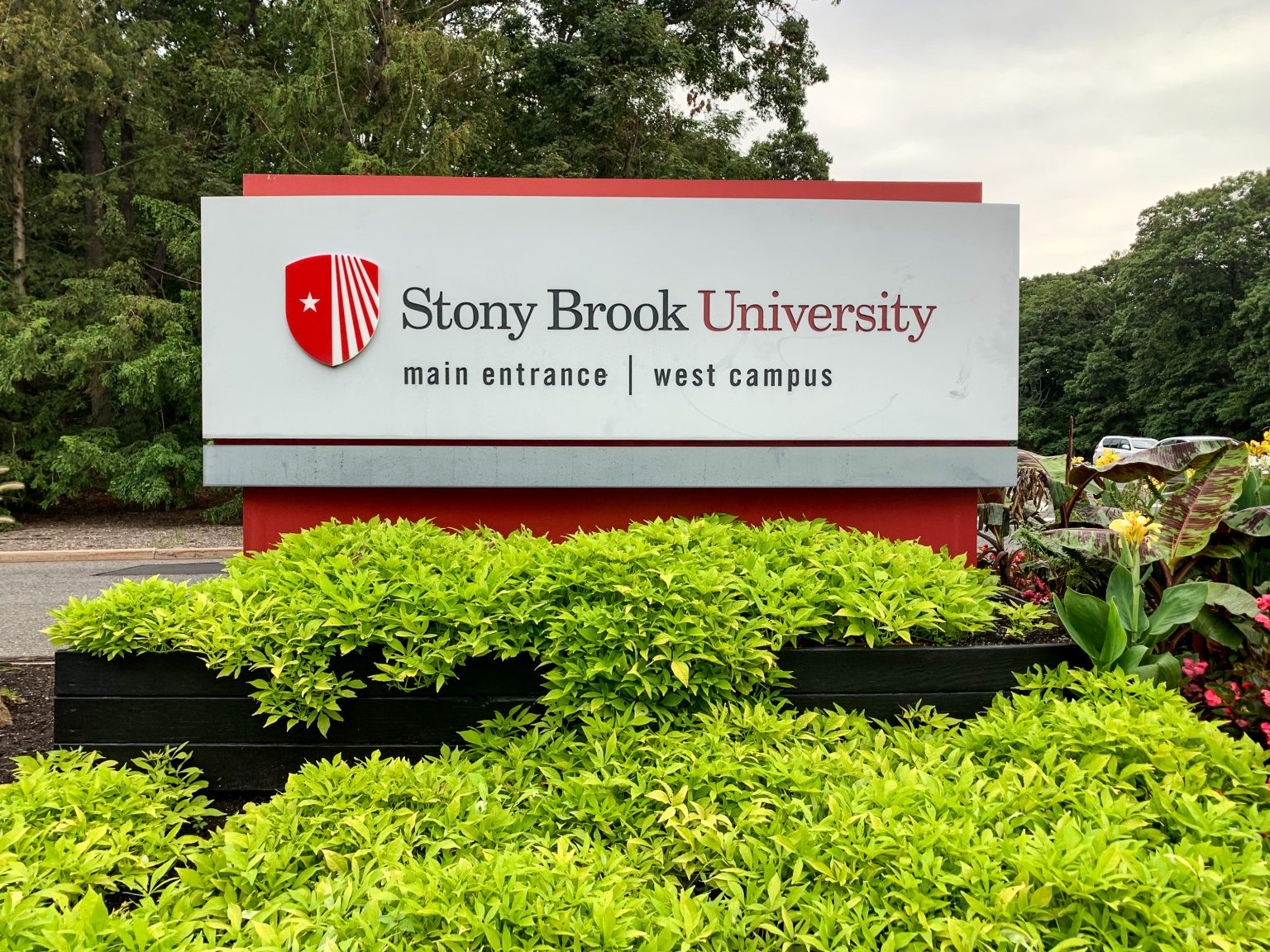 Stony Brook University Open House 2025 Schedule - Norry Malynda