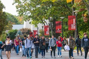 Stony Brook